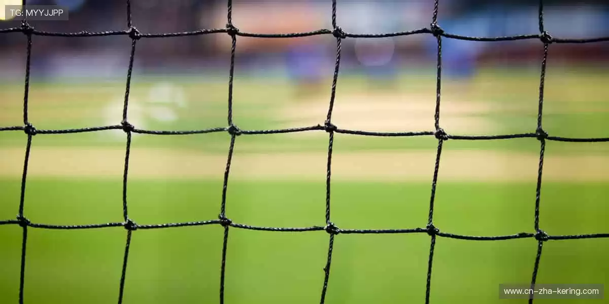 超清直播，身临其境！📺